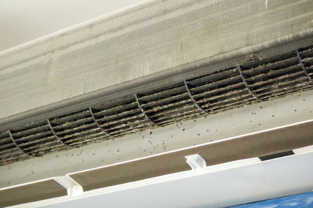 Best Home Air Vent Cleaning  in Pawcatuck, CT